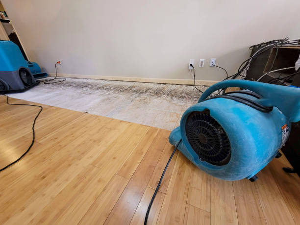 Professional Water Removal technician working in Olga, FL